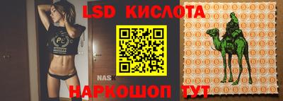прущие грибы Заволжье