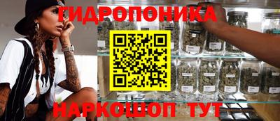 прущие грибы Заволжье