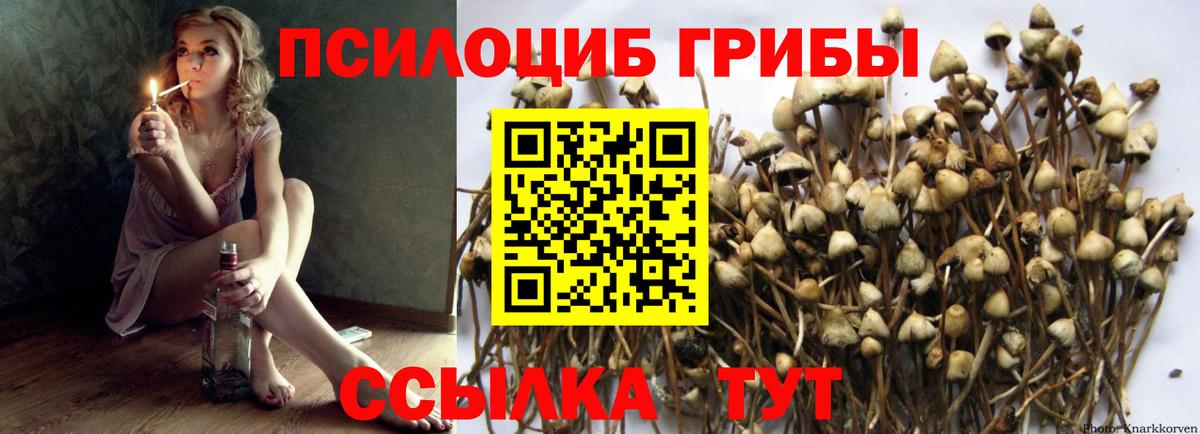 Липецк  Галлюциногенные грибы Cubensis  Вход с VPN  Галлюциногенные грибы Psilocybe 